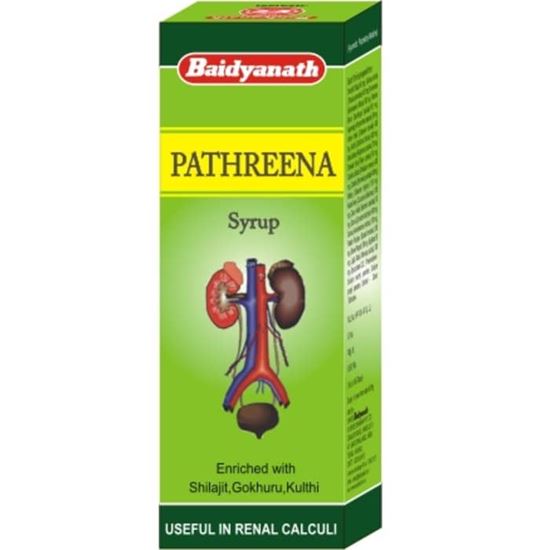 Picture of Baidyanath Pathreena Syrup