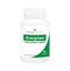 Picture of Shivalik Herbals Evergreen 500mg Capsule Pack of 2