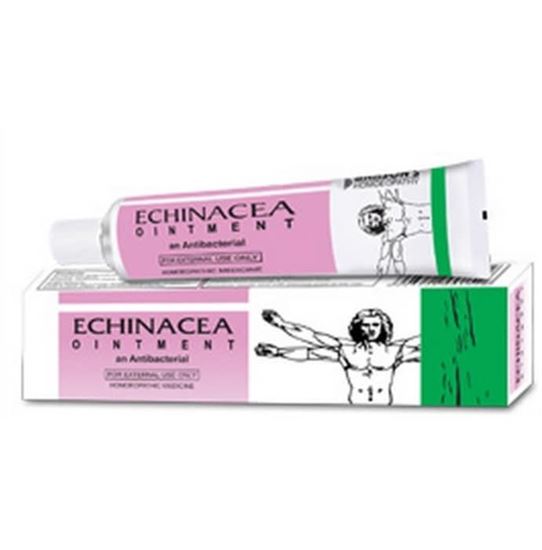 Picture of BAKSON'S Echinacea Ointment