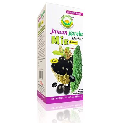 Picture of Basic Ayurveda Jamun Karela Mix Juice