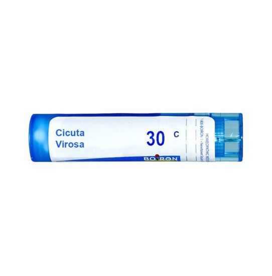 Picture of Boiron Cicuta Virosa Multi Dose Approx 80 Pellets 30 CH