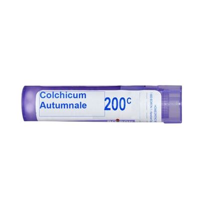 Picture of Boiron Colchicum Autumnale Multi Dose Approx 80 Pellets 200 CH