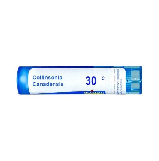 Picture of Boiron Collinsonia Canadensis Single Dose Approx 200 Microgranules 30 CH