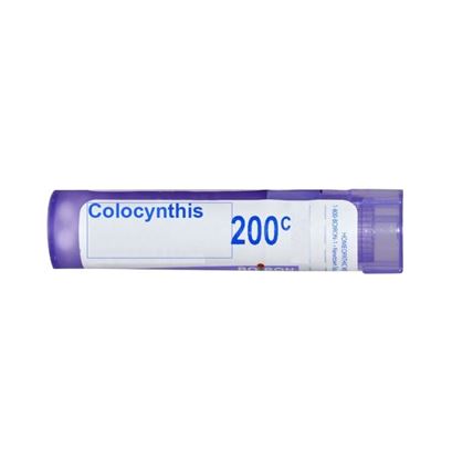 Picture of Boiron Colocynthis Single Dose Approx 200 Microgranules 200 CH