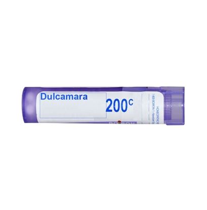 Picture of Boiron Dulcamara Multi Dose Approx 80 Pellets 200 CH