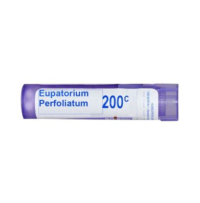 Picture of Boiron Eupatorium Perfoliatum Multi Dose Approx 80 Pellets 200 CH