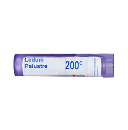 Picture of Boiron Ledum Palustre Multi Dose Approx 80 Pellets 200 CH