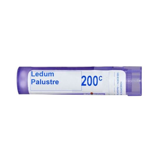 Picture of Boiron Ledum Palustre Single Dose Approx 200 Microgranules 200 CH