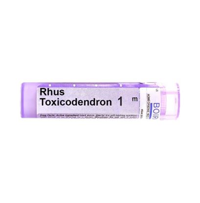 Picture of Boiron Rhus Toxicodendron Single Dose Approx 200 Microgranules 1000 CH