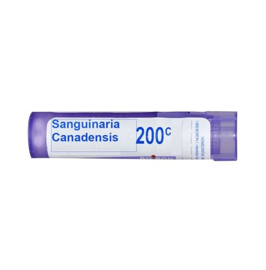 Picture of Boiron Sanguinaria Canadensis Multi Dose Approx 80 Pellets 200 CH