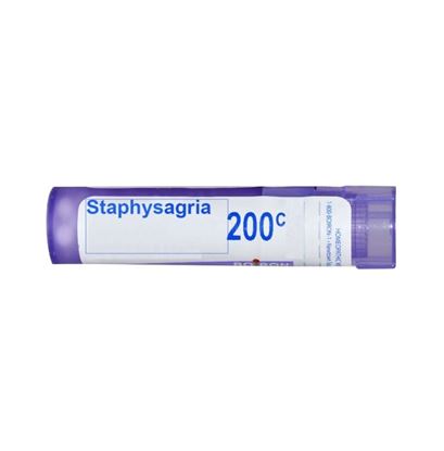 Picture of Boiron Staphysagria Single Dose Approx 200 Microgranules 200 CH