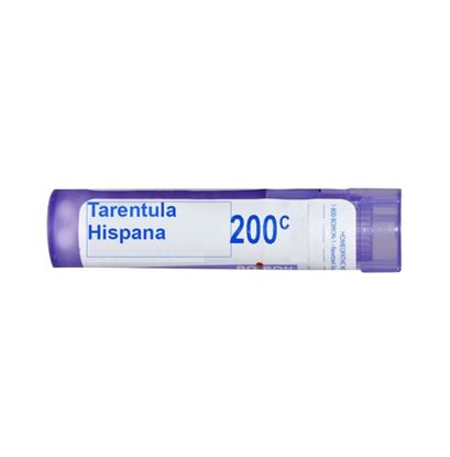 Picture of Boiron Tarentula Hispana Single Dose Approx 200 Microgranules 200 CH