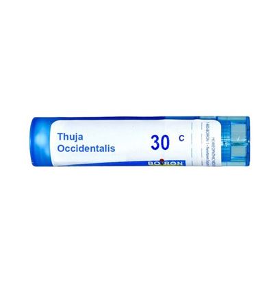 Picture of Boiron Thuja Occidentalis Single Dose Approx 200 Microgranules 30 CH