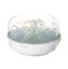 Picture of Bremed BD3240 Microwave Bottle Sterilizer