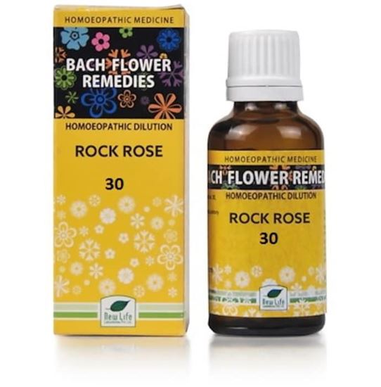 Picture of New Life Bach Flower Rock Rose 30