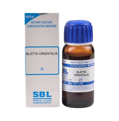 Picture of SBL Blatta Orientalis Mother Tincture Q
