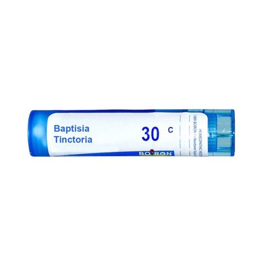 Picture of Boiron Baptisia Tinctoria Multi Dose Approx 80 Pellets 30 CH