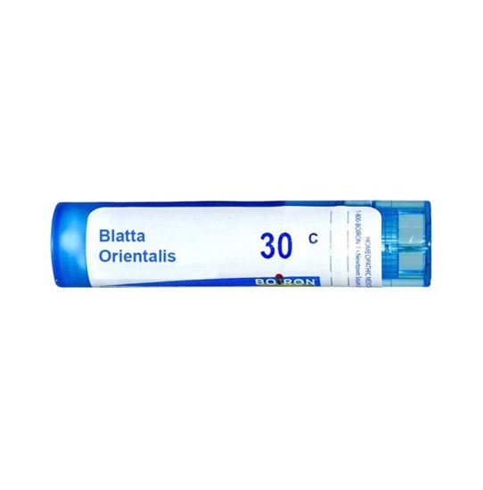 Picture of Boiron Blatta Orientalis Multi Dose Approx 80 Pellets 30 CH